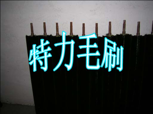 安慶特力毛刷 