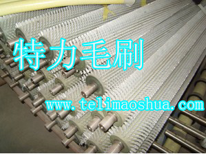 毛刷輥