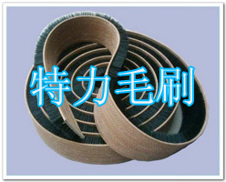 皮帶毛刷
